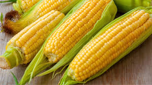 Sweet Corn