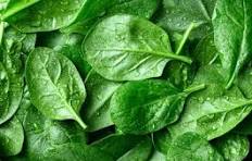 Spinach